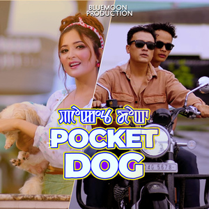 Pocket Dog