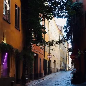 [钢琴]老人と海(cover ヨルシカ)