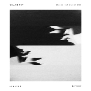 Sparks (feat. Sharna Bass) (Apexape Extended Remix)