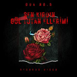 Sen Kırdın Gül Tutan Ellerimi