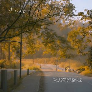 归途的光（愿那归途的光）