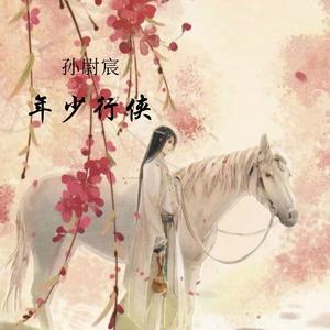年少行侠