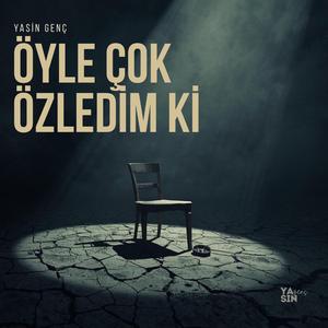 Öyle Çok Özledim Ki