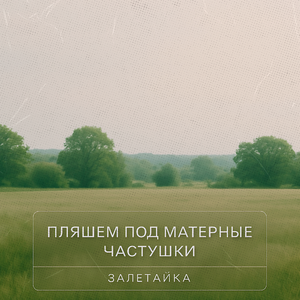 Пляшем под матерные частушки