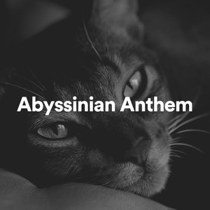 Cats' Lenitive Sound