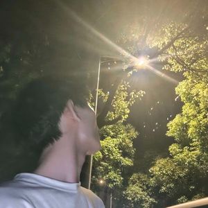 沉默的刺-王有丁