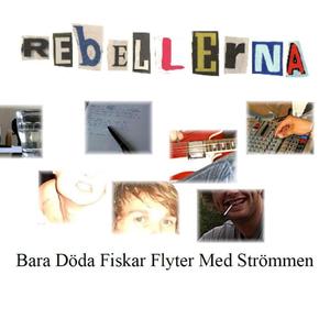 Rakblad, saliv och sarkasm