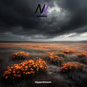 Hyperbloom