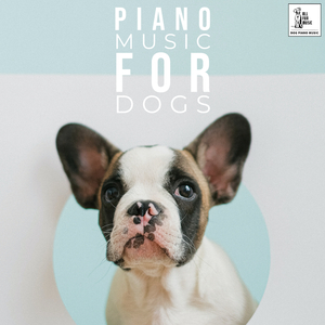 Relaxing Music For Dogs