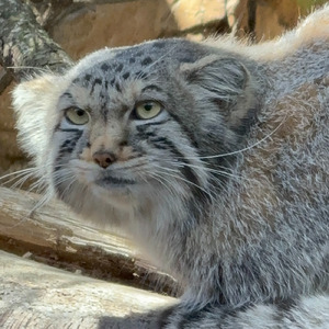 那須 まっ白ころも