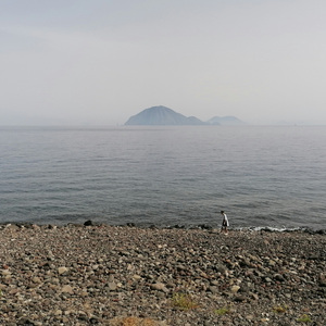 自然牵引渴望（Nature pulls the longing）