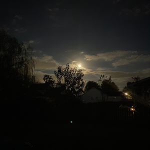 All We Have To Do Is Try