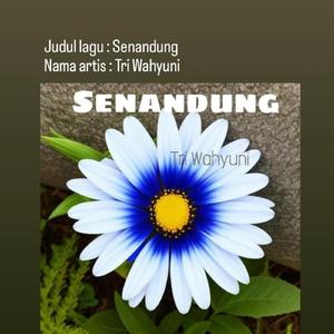 Senandung (Acoustic)