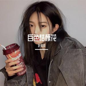 白色桔梗花(男声版)（翻自 诗人凉）