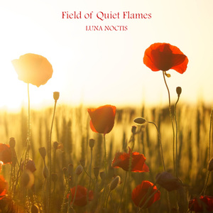 Whispers in Poppy Light