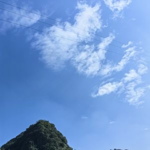 爱意