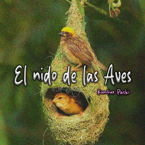 El Nido de las Aves