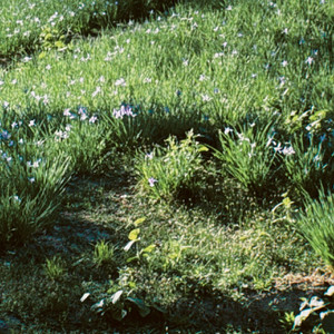 가을밤에 든 생각 (Cover)