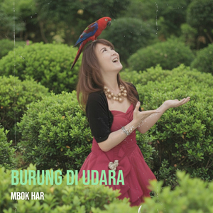Burung Di Udara