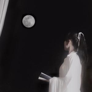 杨花落尽子规啼（翻自 G2er）