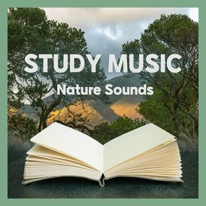 온전한 집중 (계곡물소리)