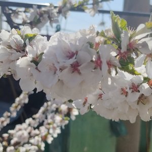 今生何时与你相见