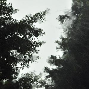 山区雨林/下雨声/白噪音/舒眠/睡觉/学习/工作/解压/放松5