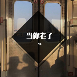 当你老了（翻自 赵照）