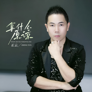 拿什么原谅