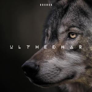Úlfhéðnar (Wolf Warriors)