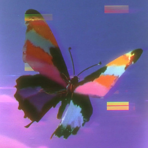 【FREE】“Butterfly” Jazz x CityPop Type Beat