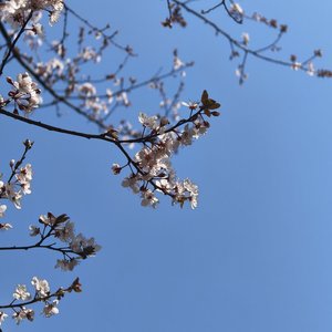 1_reflexion,allegretto,you.mp3