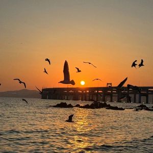 亲爱的我不是故意让你失望