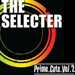 The Selecter (Live)