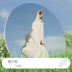 我不说(伴奏)