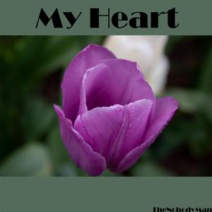 My Heart