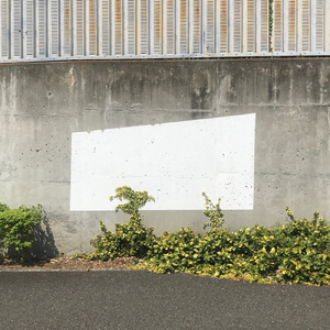 思い出せない＆わからない