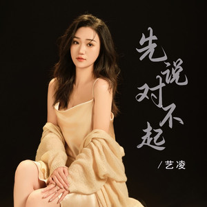 先说对不起 (DJ版)