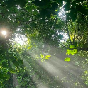 不属于地球上的