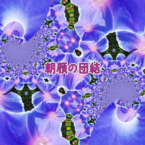 朝顔の団結