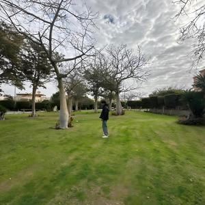 Kadab
