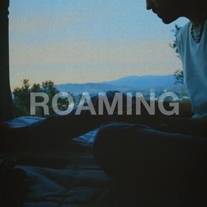 Roaming