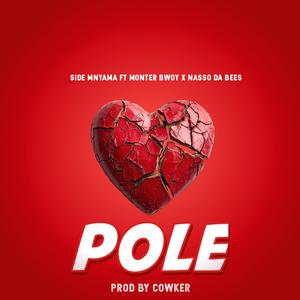 Pole