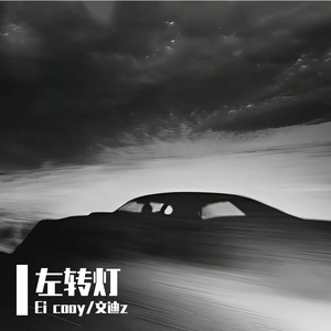 左转灯 (1000 Times +1)