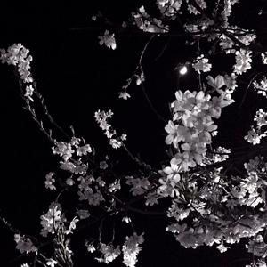 溯reverse（翻自 CORSAK）