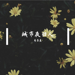 城市夜归人