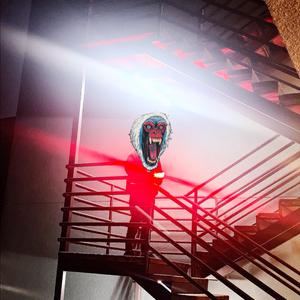 sdrawkcaB (Backwards)