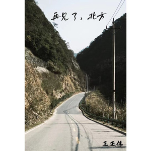 再见了，北方