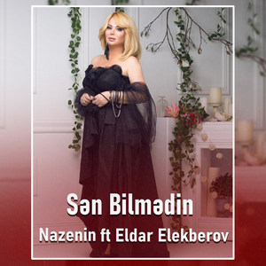 Sən Bilmədin