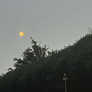 普通人 October First